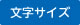 標準サイズ